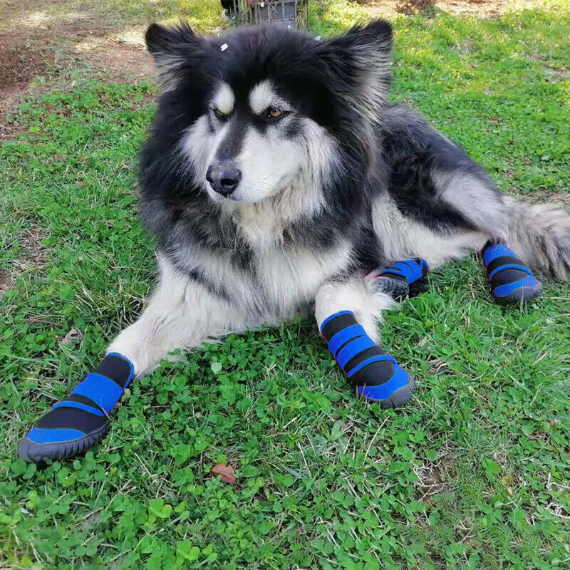 4x Anti-Slip Pet Boots Dog Puppy Waterproof Shoes Protective Rain-Booties Socks - Image 2